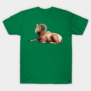 Aries Ram T-Shirt